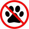 no pet